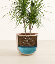 Load image into Gallery viewer, Sandy Pink