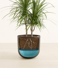 Load image into Gallery viewer, Stone Black