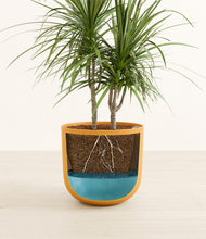 Load image into Gallery viewer, Sunset Orange