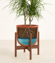 Load image into Gallery viewer, Earth Red stand:walnut