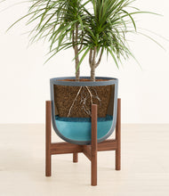 Load image into Gallery viewer, Iron Gray stand:walnut