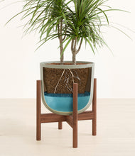 Load image into Gallery viewer, Sage Green stand:walnut
