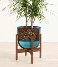 Load image into Gallery viewer, Stone Black stand:walnut