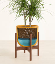 Load image into Gallery viewer, Sunset Orange stand:walnut