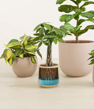 Load image into Gallery viewer, Sandy stand:all