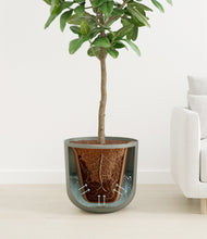 Load image into Gallery viewer, Sage Green