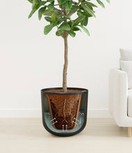 Load image into Gallery viewer, Stone Black