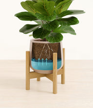 Load image into Gallery viewer, Eternal Gray stand:bamboo