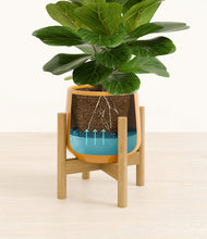 Load image into Gallery viewer, Mustard stand:bamboo