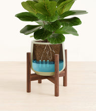 Load image into Gallery viewer, Turquoise stand:walnut