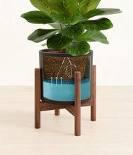 Load image into Gallery viewer, Black stand:walnut