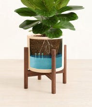 Load image into Gallery viewer, Cream stand:walnut