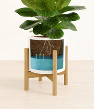 Load image into Gallery viewer, White stand:bamboo