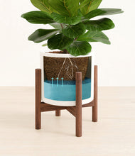 Load image into Gallery viewer, White stand:walnut