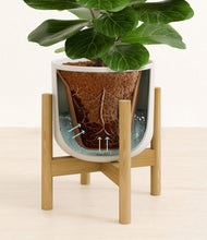 Load image into Gallery viewer, Natural Bamboo stand:bamboo