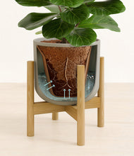 Load image into Gallery viewer, Sage Green stand:bamboo