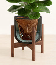 Load image into Gallery viewer, Stone Black stand:walnut