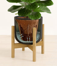 Load image into Gallery viewer, Stone Black stand:bamboo