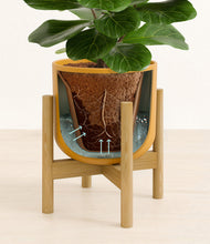 Load image into Gallery viewer, Sunset Orange stand:bamboo