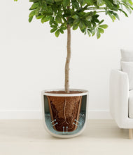 Load image into Gallery viewer, Natural Bamboo