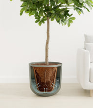 Load image into Gallery viewer, Sage Green