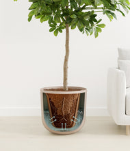 Load image into Gallery viewer, Sandy Pink