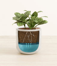 Load image into Gallery viewer, Hammered Ivory