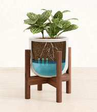 Load image into Gallery viewer, Hammered Ivory stand:walnut