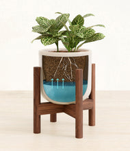 Load image into Gallery viewer, Snowdrift White stand:bamboo