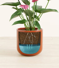 Load image into Gallery viewer, Glossy Red