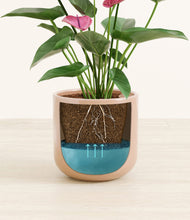 Load image into Gallery viewer, Glossy Pink