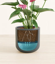 Load image into Gallery viewer, Iron Gray