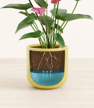 Load image into Gallery viewer, Key Lime Yellow