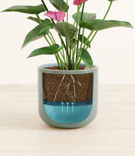 Load image into Gallery viewer, Reactive Aqua