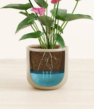 Load image into Gallery viewer, Sage Green