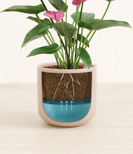 Load image into Gallery viewer, Sandy Pink