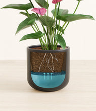 Load image into Gallery viewer, Stone Black