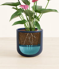 Load image into Gallery viewer, Twilight Blue