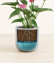 Load image into Gallery viewer, Misty Blue