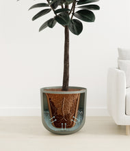 Load image into Gallery viewer, Sage Green