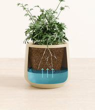 Load image into Gallery viewer, Almond Green