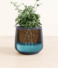 Load image into Gallery viewer, Deep Navy