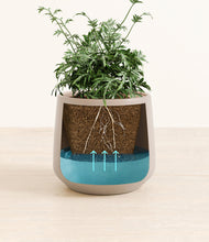 Load image into Gallery viewer, Eternal Gray