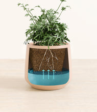 Load image into Gallery viewer, Gentle Pink