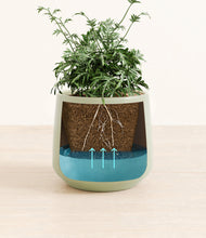 Load image into Gallery viewer, Turquoise