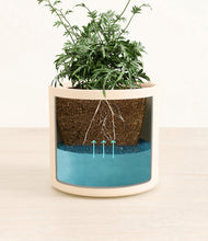 Load image into Gallery viewer, Cream