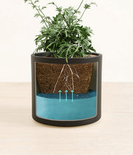 Load image into Gallery viewer, Black