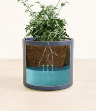 Load image into Gallery viewer, Deep Navy