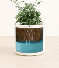 Load image into Gallery viewer, White