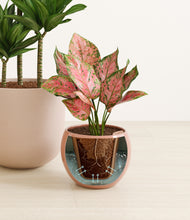 Load image into Gallery viewer, Evening Sky stand:all